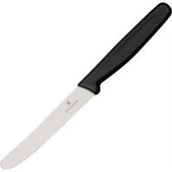 Forschner 50833SX2 Stainless Serrated Edge, Blade Steak Kitchen Knife With Nylon Handle