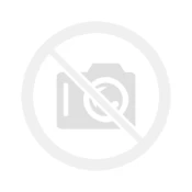 Solingen B001SB Vegetable/Fruit Knife Straight